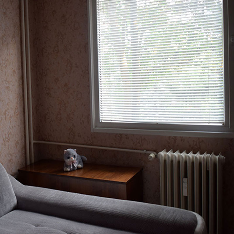 picture of  a bedroom - windows side