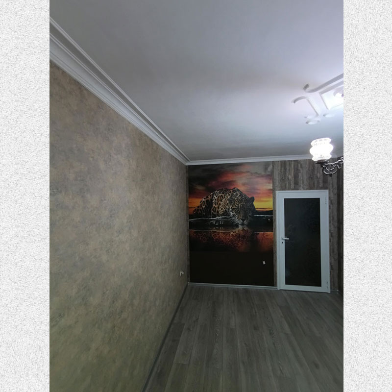 picture of a living room with decorative ceilings, wild cat photo wallpaper and a beautiful interior door