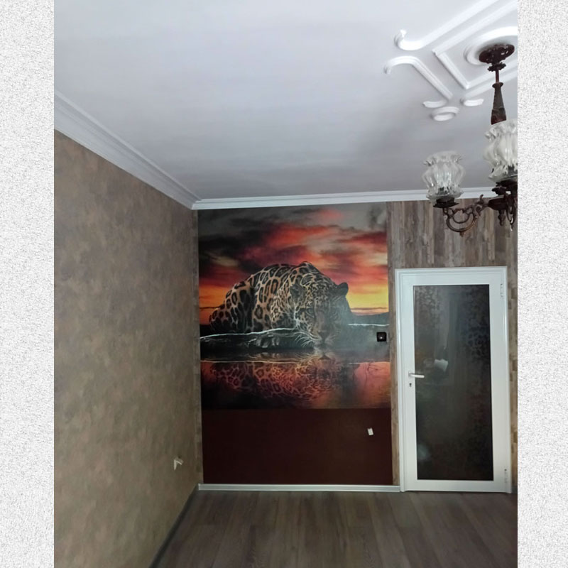 picture of a living room with a decorative ceilings, wild cat photo wallpaper and a beautiful interior door